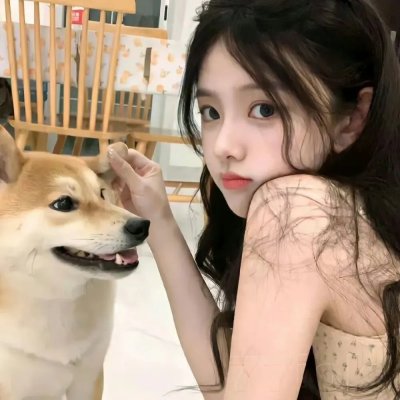 菜鸟总动员